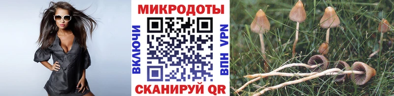 это официальный сайт  mega ССЫЛКА  Псилоцибиновые грибы MAGIC MUSHROOMS  Черкесск  где купить наркоту 